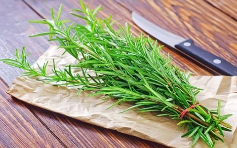 قیمت خرید گیاه رزماری خشک شده + فروش ویژه